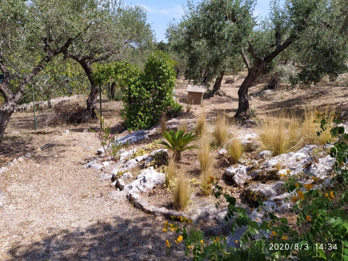 Villa Il Giardino Di Mary à Terracine Extérieur photo