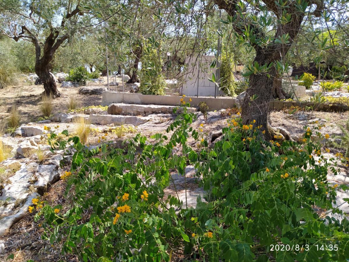 Villa Il Giardino Di Mary à Terracine Extérieur photo